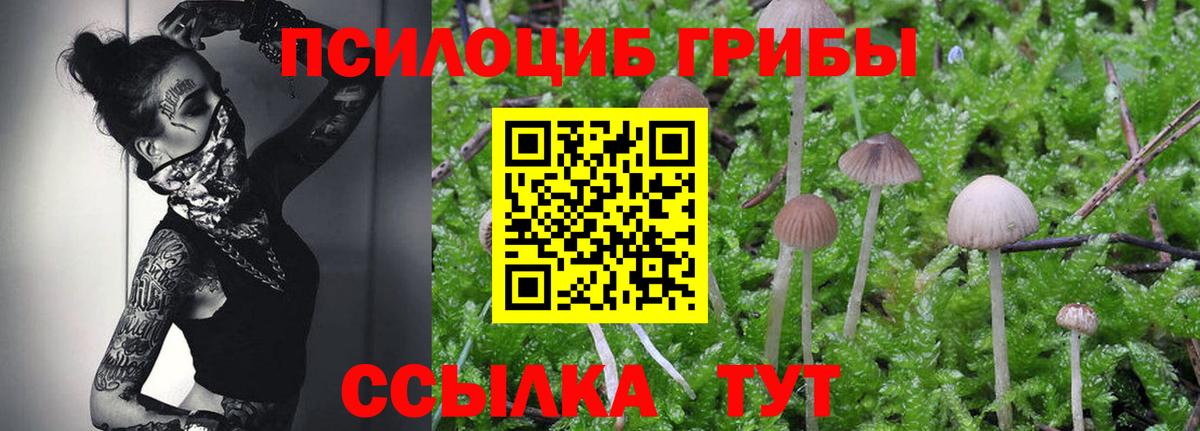 Галлюциногенные грибы ЛСД  Галлюциногенные грибы Cubensis  Кольчугино  Вход с VPN 