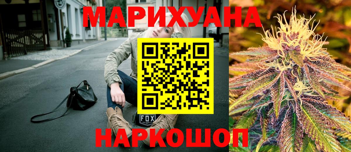 Конопля конопля Кольчугино